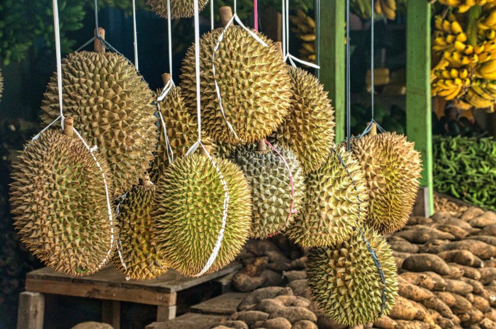 Durian The King of Polarizing Fruits