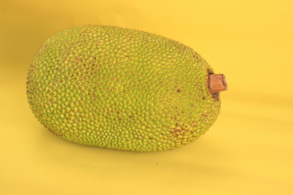 Jackfruit The Meaty Monstrosity