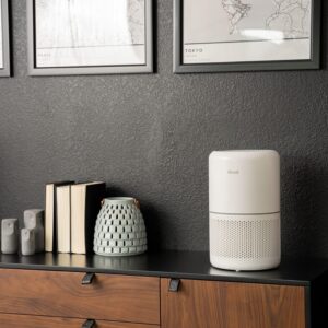 LEVOIT Air Purifier for Home Allergies Pets Hair in Bedroom, Covers Up to 1095 ft² by 45W High Torque Motor, 3-in-1 Filter with HEPA sleep mode, Remove Dust Smoke Pollutants Odor, Core300-P, White (2)